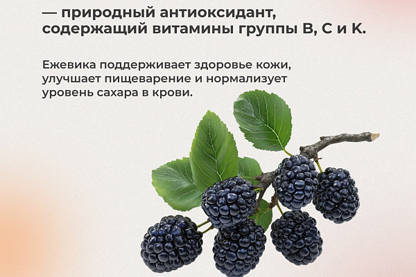 Полезный выбор ягод