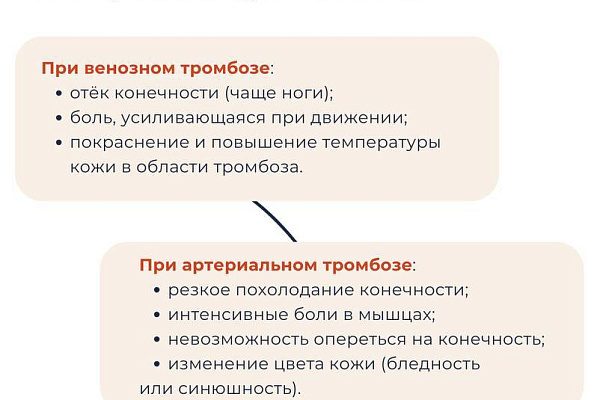Откуда берутся тромбы и как снизить риски