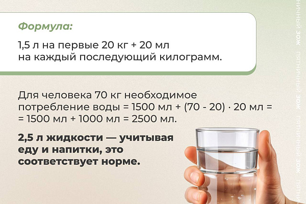 Пятничный ЗОЖ: Сколько воды нужно пить в день?