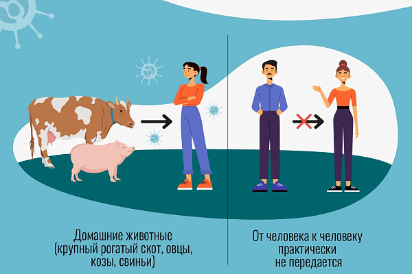 Сибирская язва