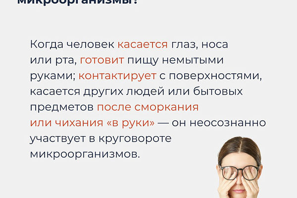 Всемирный день чистых рук