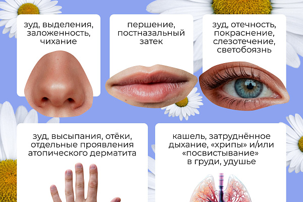 Каждый третий человек на планете страдает от аллергии