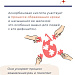 Почему так важен витамин С