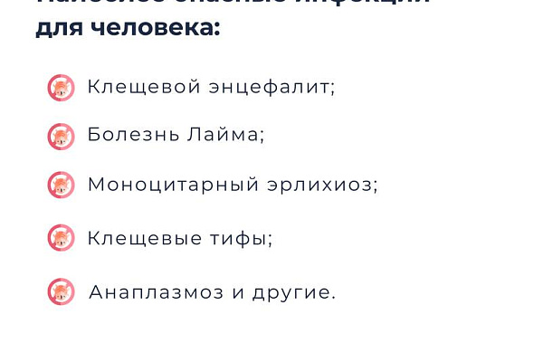 Укус клеща и его последствия