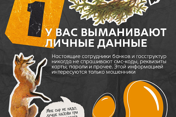 5 признаков интернет-мошенника