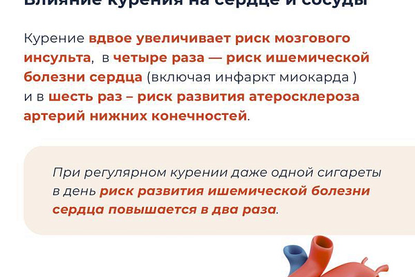 Почему бросить курить нужно прямо сейчас