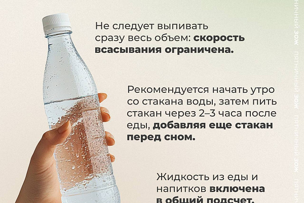 Пятничный ЗОЖ: Сколько воды нужно пить в день?