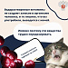 Вопрос, который мы все задаем себе каждое лето: можно ли съесть слишком много черешни?