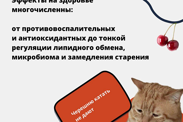 Вопрос, который мы все задаем себе каждое лето: можно ли съесть слишком много черешни?