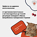 Вопрос, который мы все задаем себе каждое лето: можно ли съесть слишком много черешни?