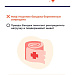 От домыслов к фактам: разоблачаем мифы о беременности