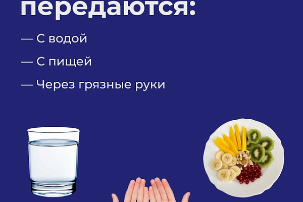 Основные виды вирусного гепатитна
