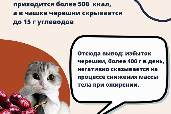 Вопрос, который мы все задаем себе каждое лето: можно ли съесть слишком много черешни?