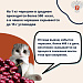 Вопрос, который мы все задаем себе каждое лето: можно ли съесть слишком много черешни?
