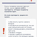 Что вызывает астму