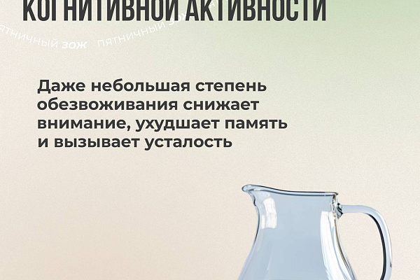 Продуктивность начинается с вашей тарелки