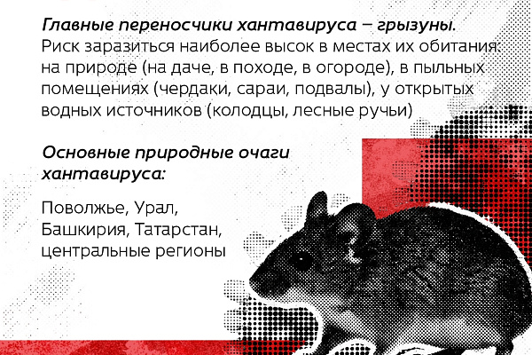 Хантавирус