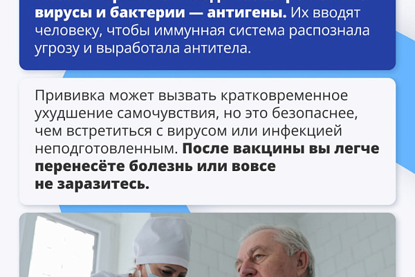 Здоровый иммунитет: мифы о защите организма