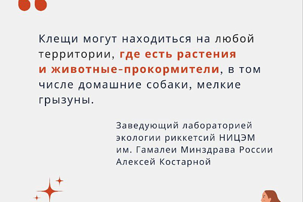 Как избежать укуса клеща