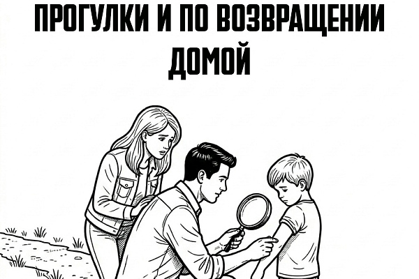 Правила поведения в лесу в сезон клещей
