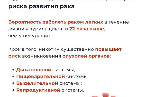 Почему бросить курить нужно прямо сейчас