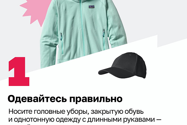 Внимание: сезон клещей начался!
