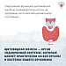 Щитовидная железа, что нужно знать?