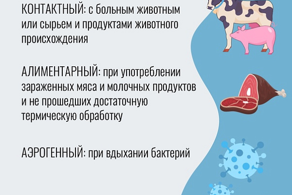 Бруцеллез