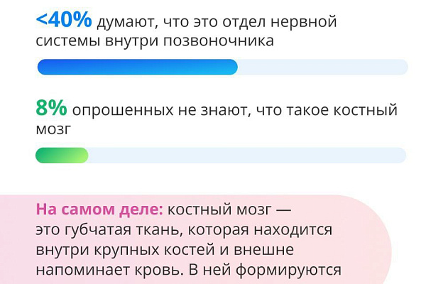 Расскажи мне, что такое костный мозг