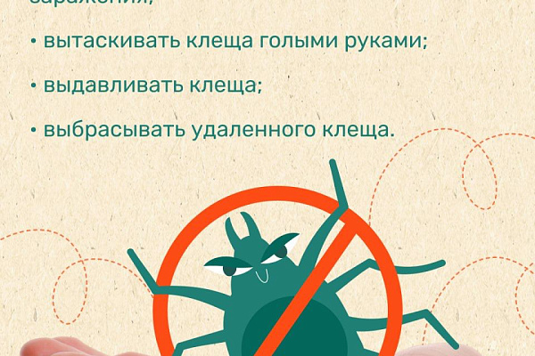 Сезон клещей: как обезопасить себя в путешествии