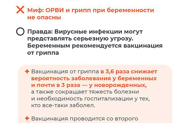 От домыслов к фактам: разоблачаем мифы о беременности