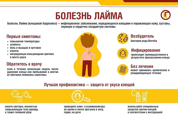 Сезон активности клещей