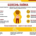 Сезон активности клещей