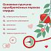 Пороком сердца