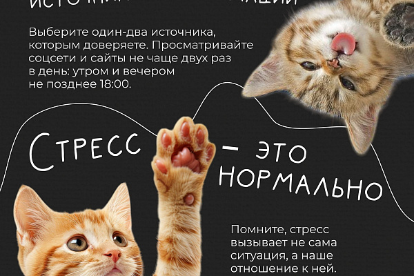 Психическое здоровье