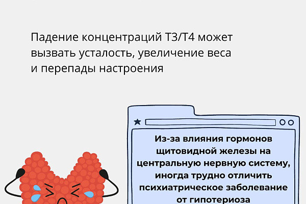 Заботимся о щитовидной железе