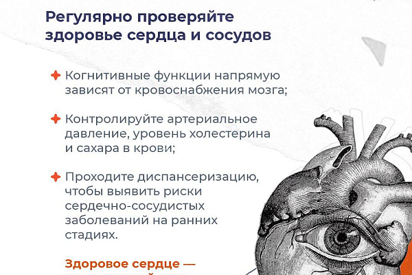 Как сохранить острый ум?