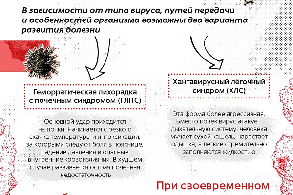 Хантавирус