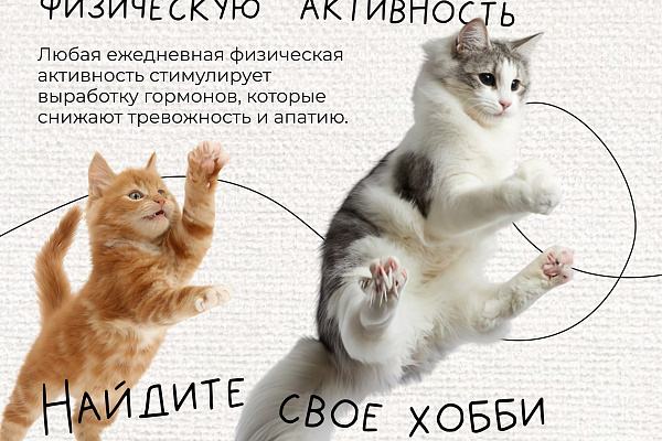 Психическое здоровье