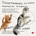 Психическое здоровье