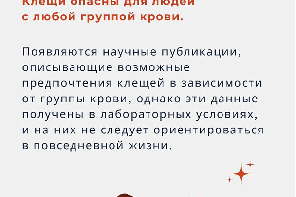 Как избежать укуса клеща