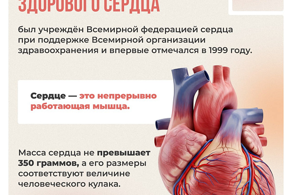 11 августа отмечается Международный день здорового сердца