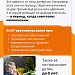 Не просто насморк: как выявить и лечить аллергию