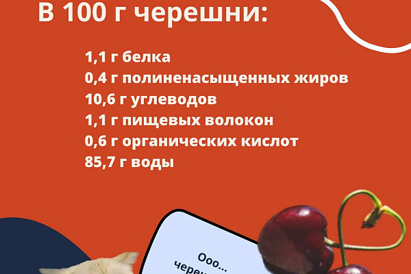 Вопрос, который мы все задаем себе каждое лето: можно ли съесть слишком много черешни?