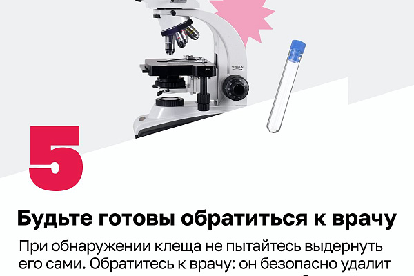 Внимание: сезон клещей начался!