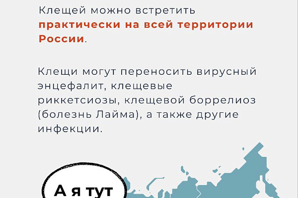 Как избежать укуса клеща