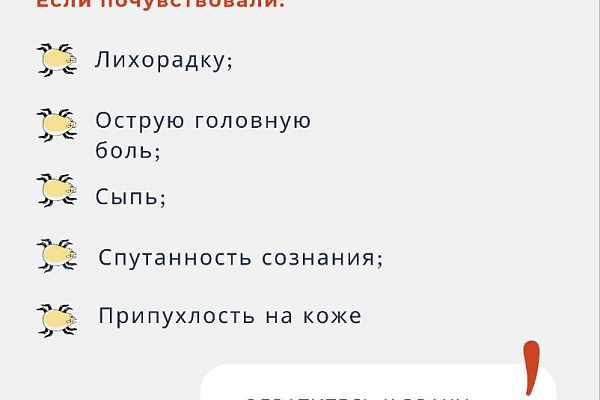 Как избежать укуса клеща