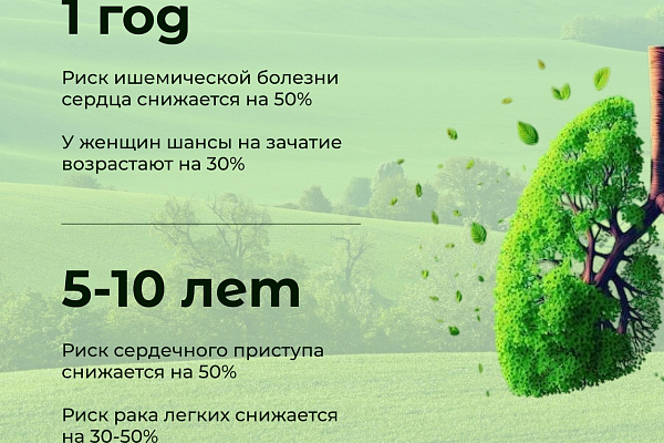 Восстановление организма после отказа от курения