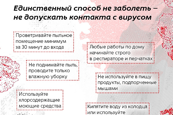 Хантавирус