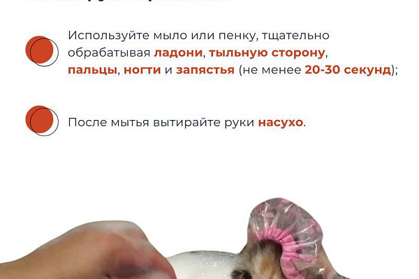 Гигиена рук